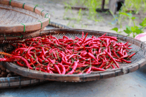 中国都市解説（８）～湖南省（長沙市） トウガラシの激辛料理が培った、アツイ消費意欲と美男美女